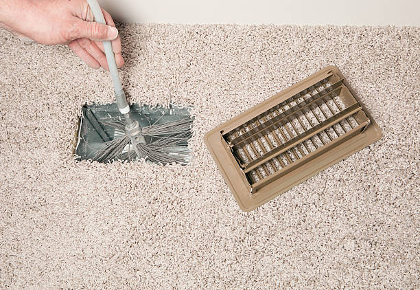Air Duct Mold Removal in Dothan, AL