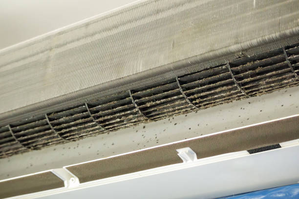 Best Home Air Vent Cleaning  in Dothan, AL